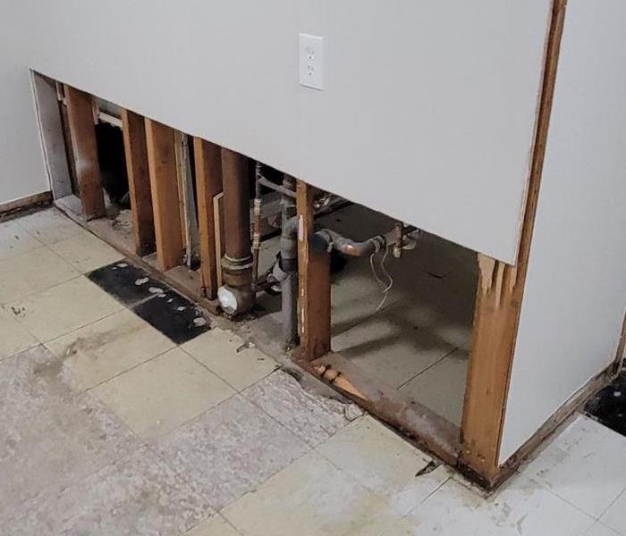 mold and water damage